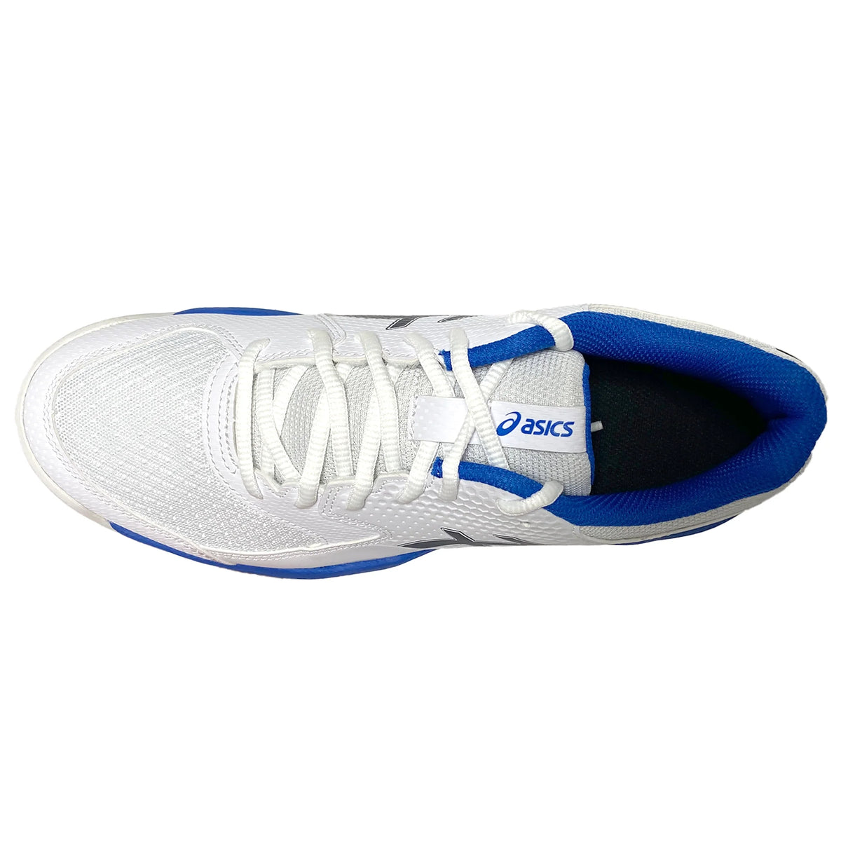 Asics Men's Gel-Dedicate 8 Pickleball 1041A409-103