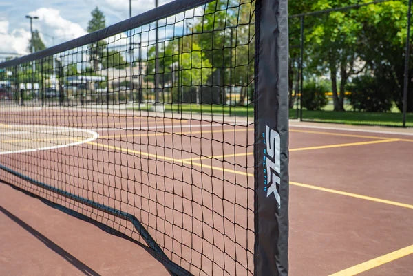 Filet de pickleball portable Selkirk SLK Pro