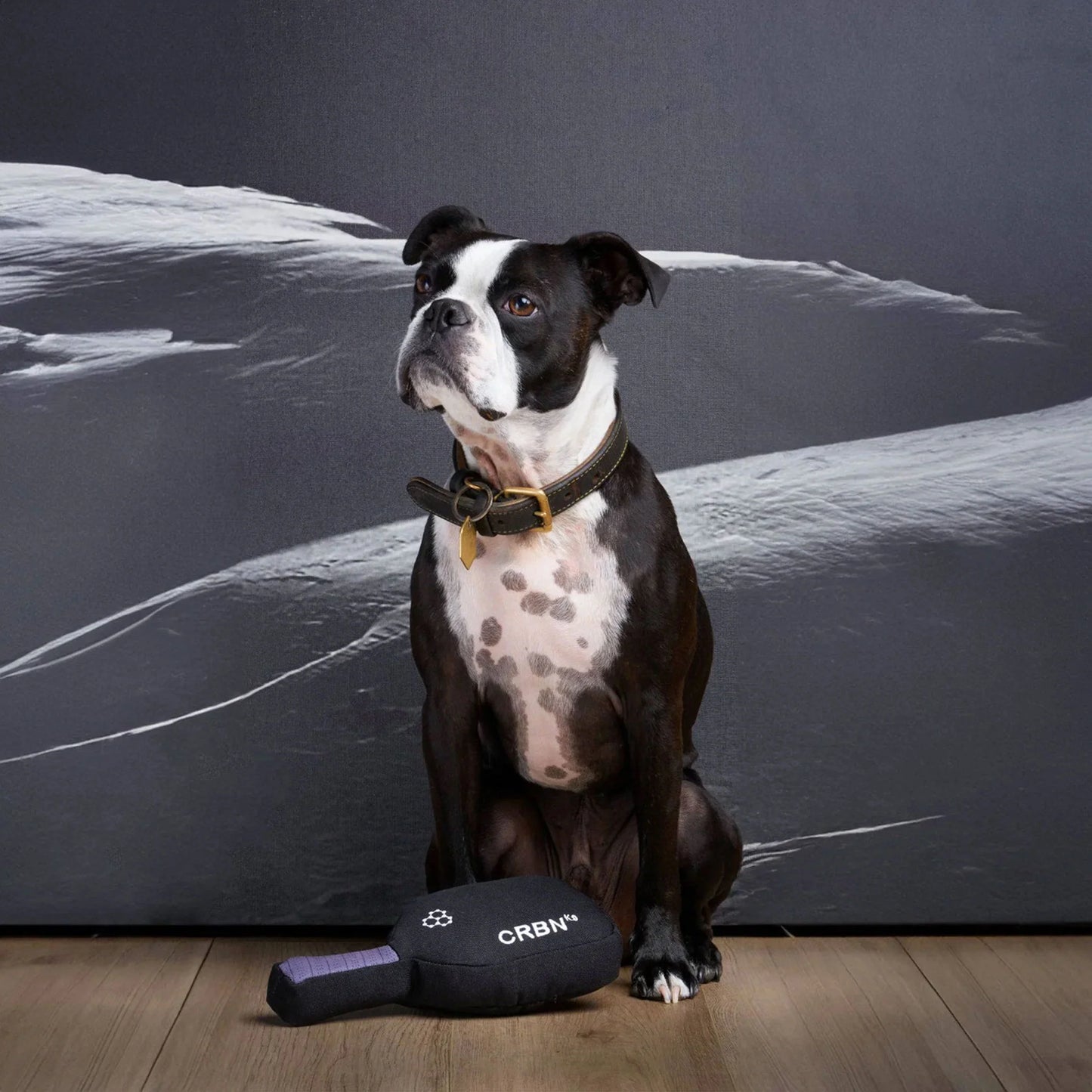 CRBNᴷ⁹ Squeak Dog Toy