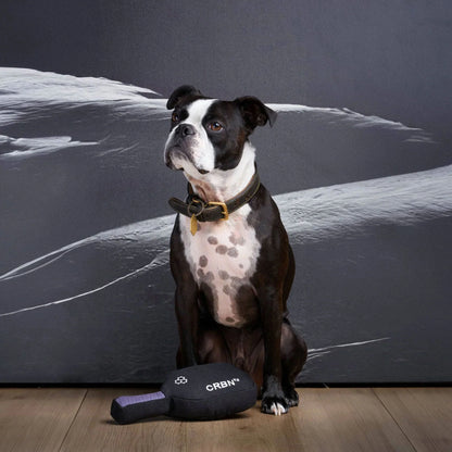 CRBNᴷ⁹ Squeak Dog Toy